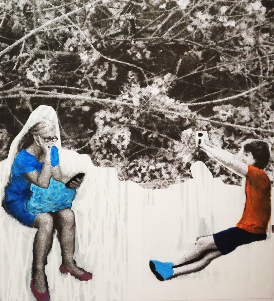 dame,-damoiseau,-glycine-low